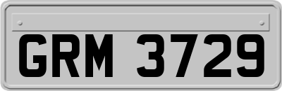 GRM3729