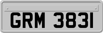 GRM3831