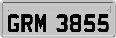 GRM3855