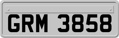 GRM3858