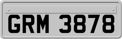 GRM3878