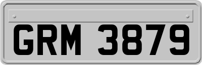 GRM3879