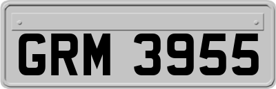 GRM3955