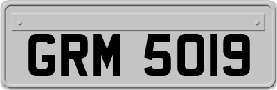 GRM5019