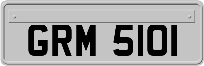 GRM5101