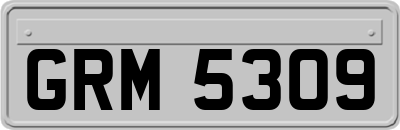 GRM5309