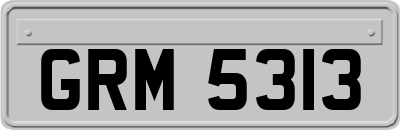 GRM5313