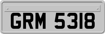 GRM5318