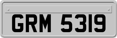 GRM5319