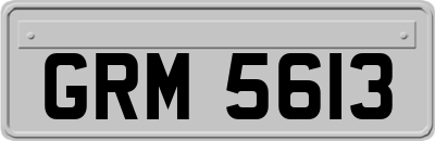 GRM5613
