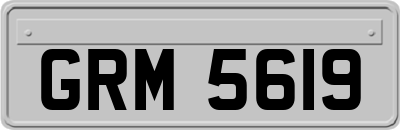 GRM5619