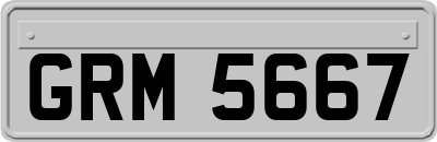 GRM5667