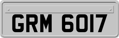 GRM6017