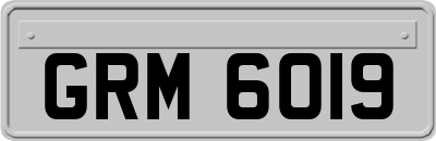GRM6019
