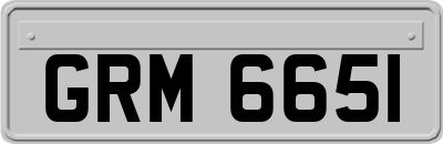 GRM6651