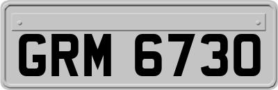 GRM6730