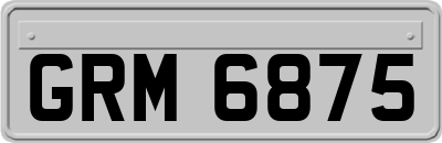 GRM6875