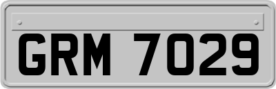 GRM7029