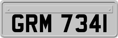 GRM7341