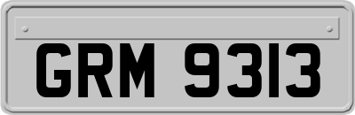 GRM9313