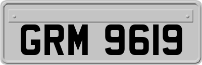 GRM9619