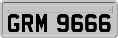GRM9666