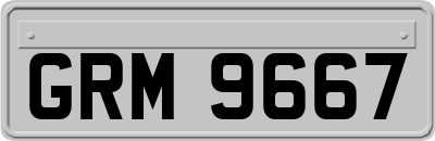 GRM9667