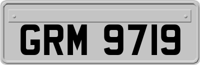 GRM9719