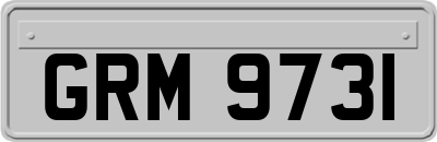 GRM9731