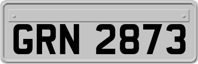 GRN2873