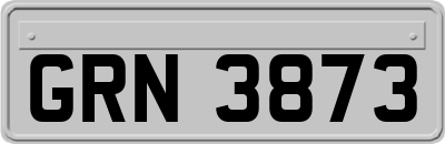 GRN3873
