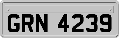 GRN4239