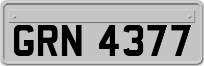 GRN4377