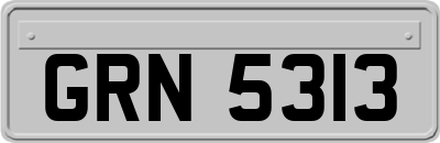 GRN5313