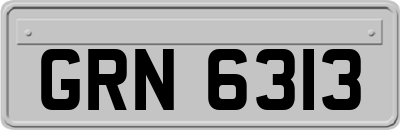 GRN6313