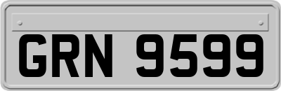 GRN9599