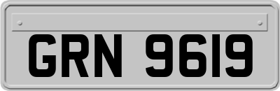 GRN9619