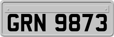 GRN9873