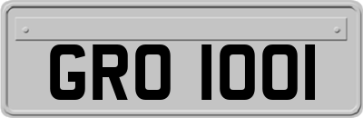 GRO1001