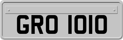 GRO1010