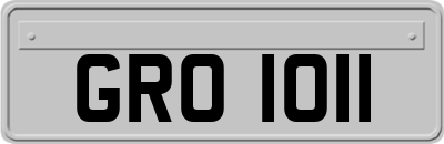 GRO1011