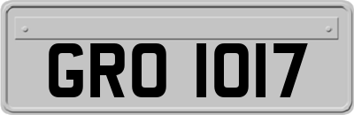 GRO1017