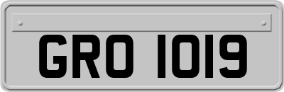 GRO1019