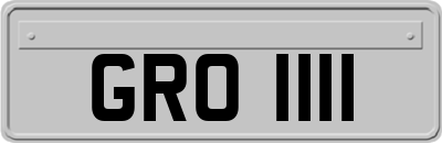 GRO1111
