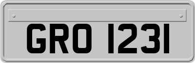 GRO1231