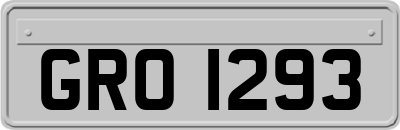 GRO1293