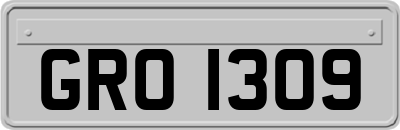 GRO1309