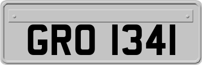 GRO1341
