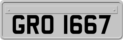 GRO1667