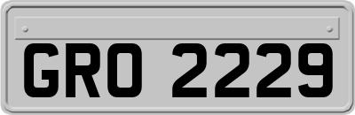 GRO2229